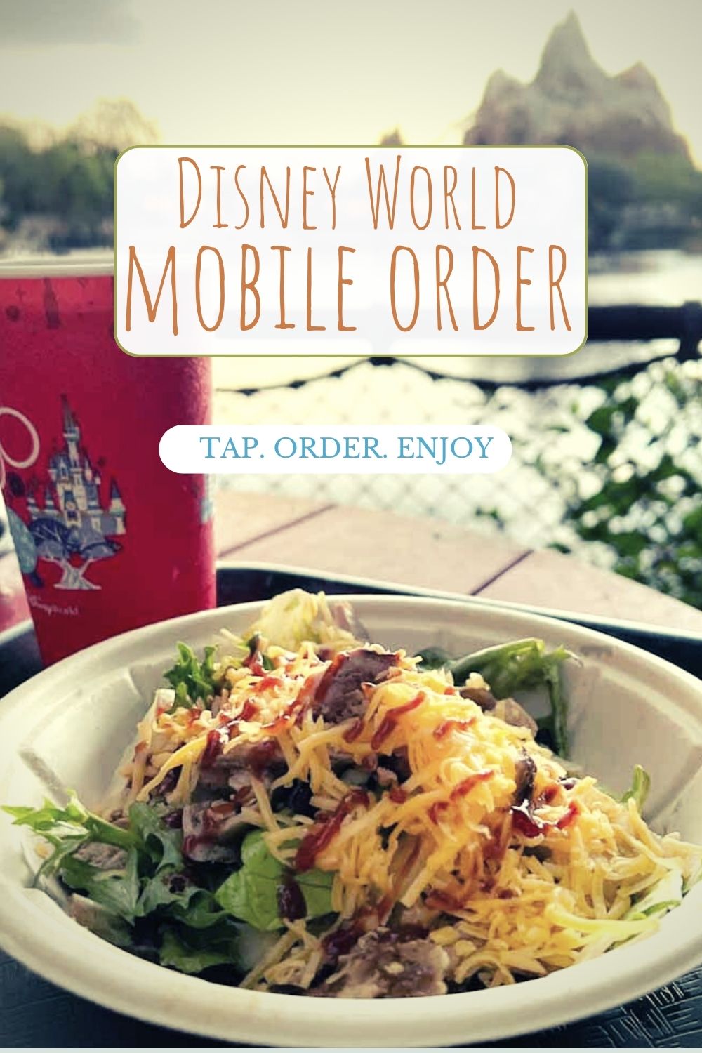 Disney mobile order pin