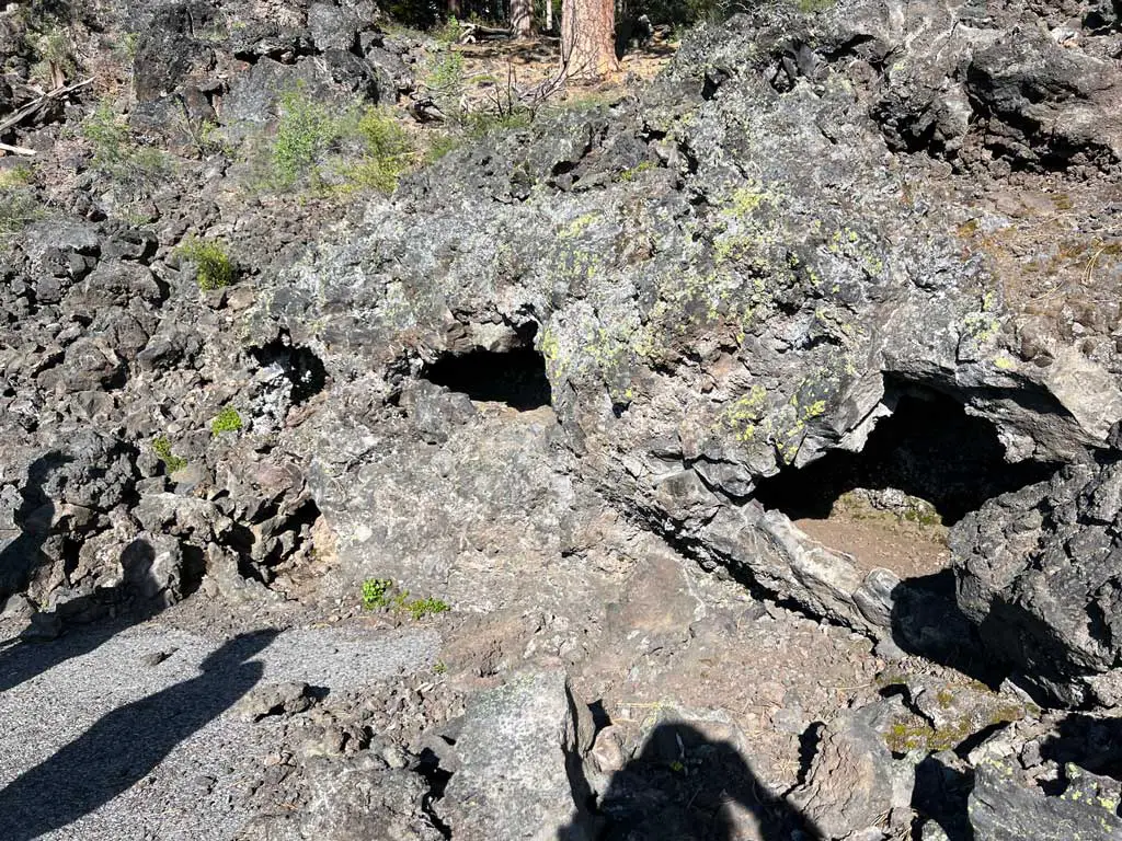 Lava Cast of a fallen tree.