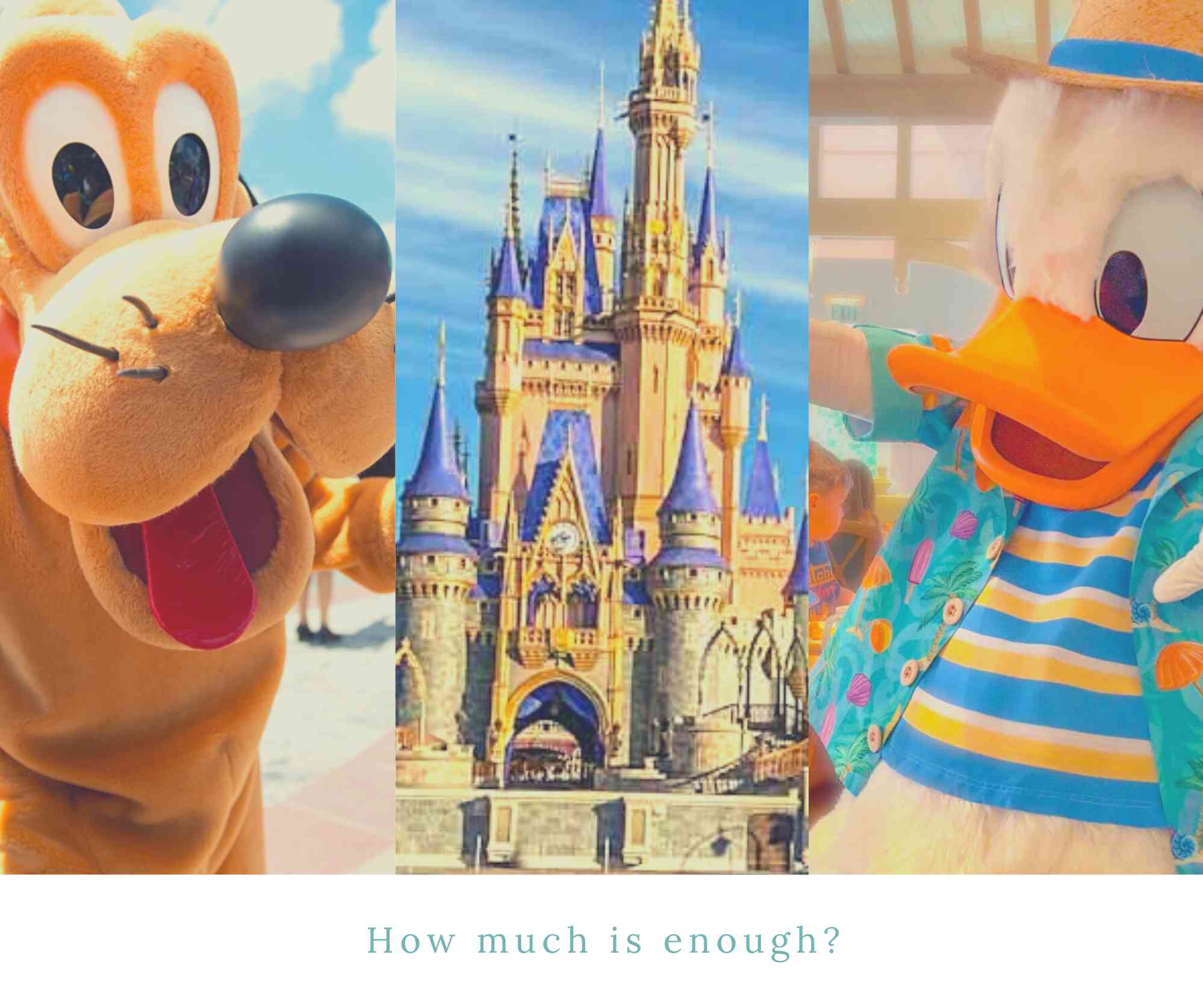 the-ultimate-guide-how-many-days-should-you-spend-at-disney-world