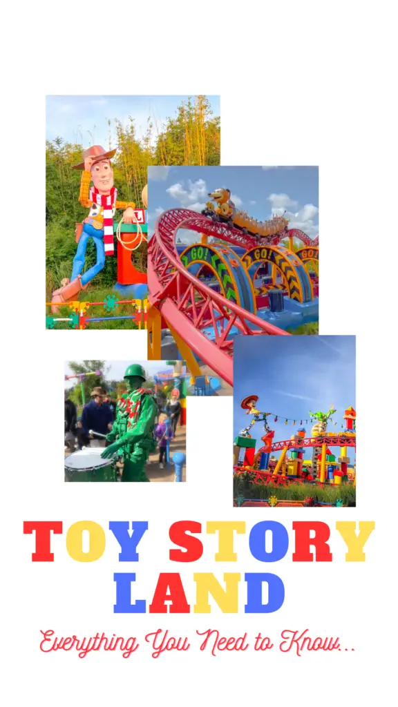 toy story land pin