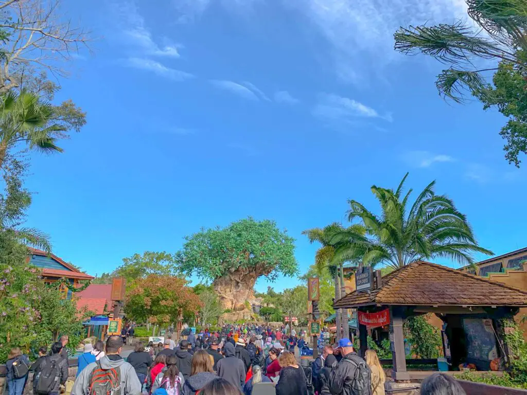 Early morning peak season crowd at Disney World Animal Kingdom