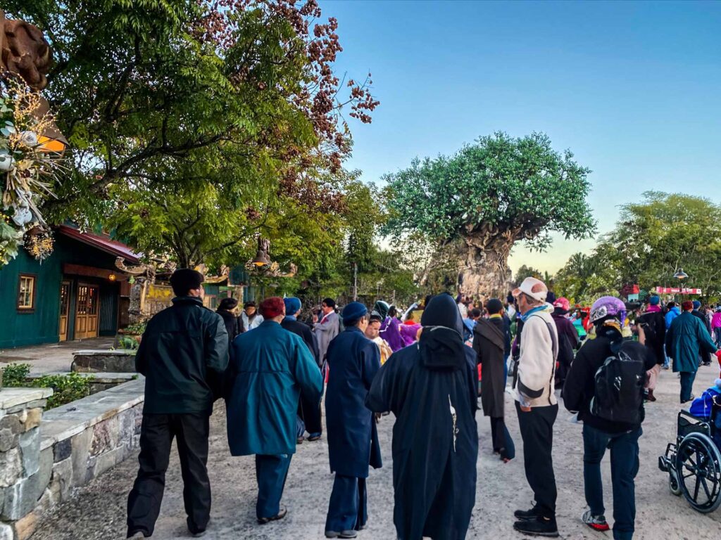 Early morning peak season crowd at Disney World Animal Kingdom