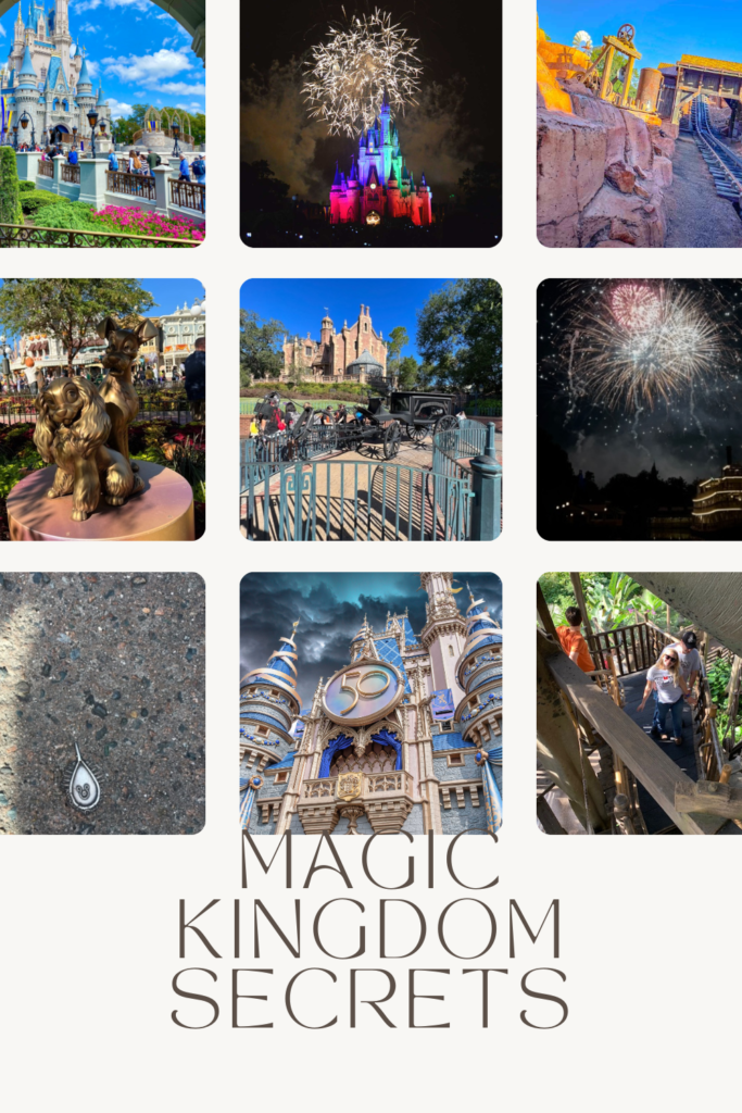 Magic Kingdom Secrets pin