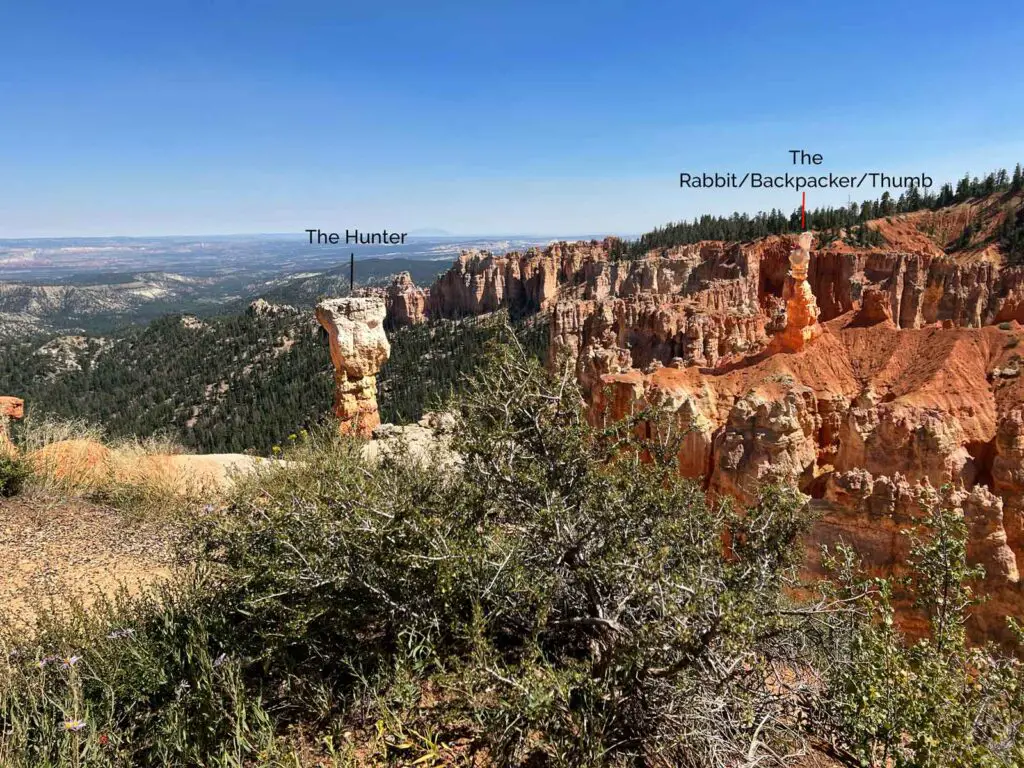 Depicting two prominent hoodoo features at Agua Point in Bryce Canyon.