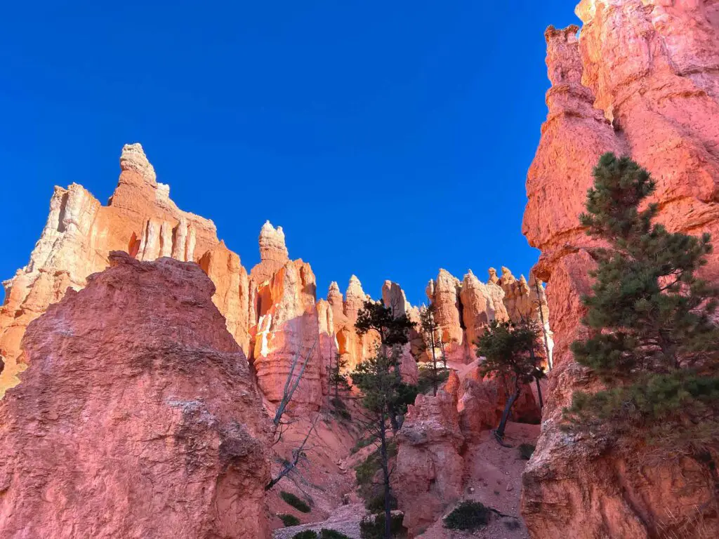 Hoodoos on the Queen's Garden Trail, Bryce Canyon Park.