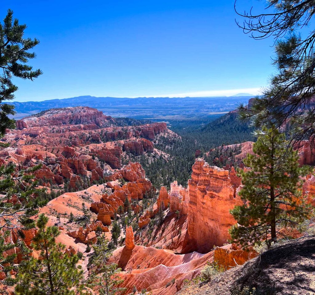 Hoodoos scattered across valley floor at Rainbow Point Bryce Canyon National Park.