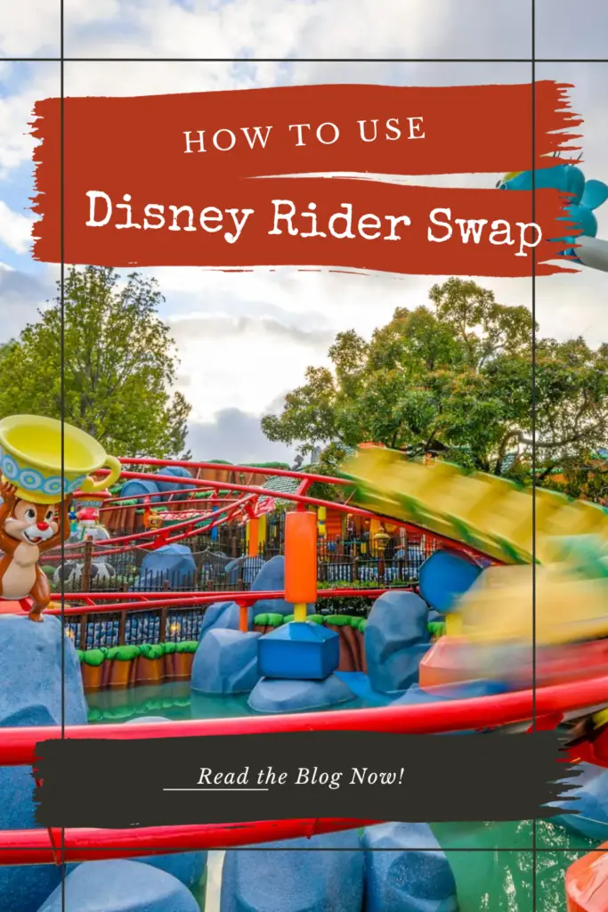 Disney rider swap pin