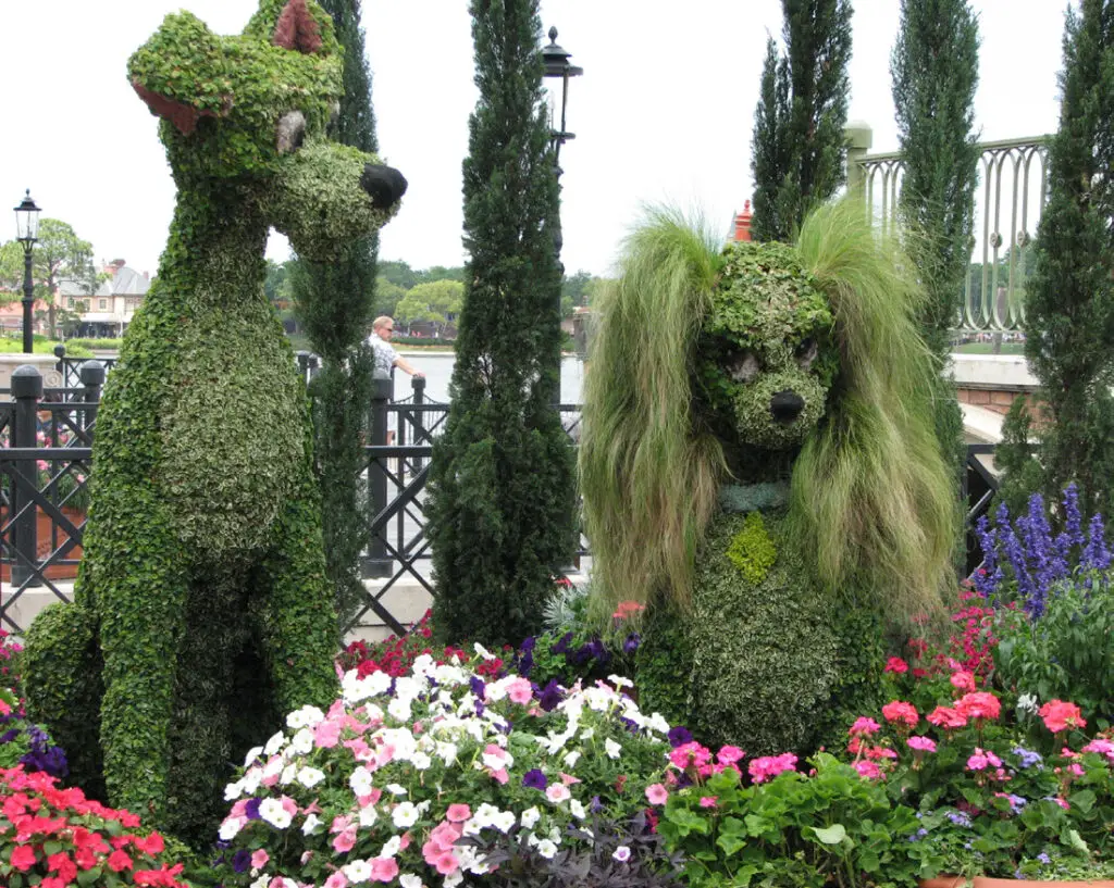 Lady and the Tramp topiary at EPCOT Flower and Garden Festival