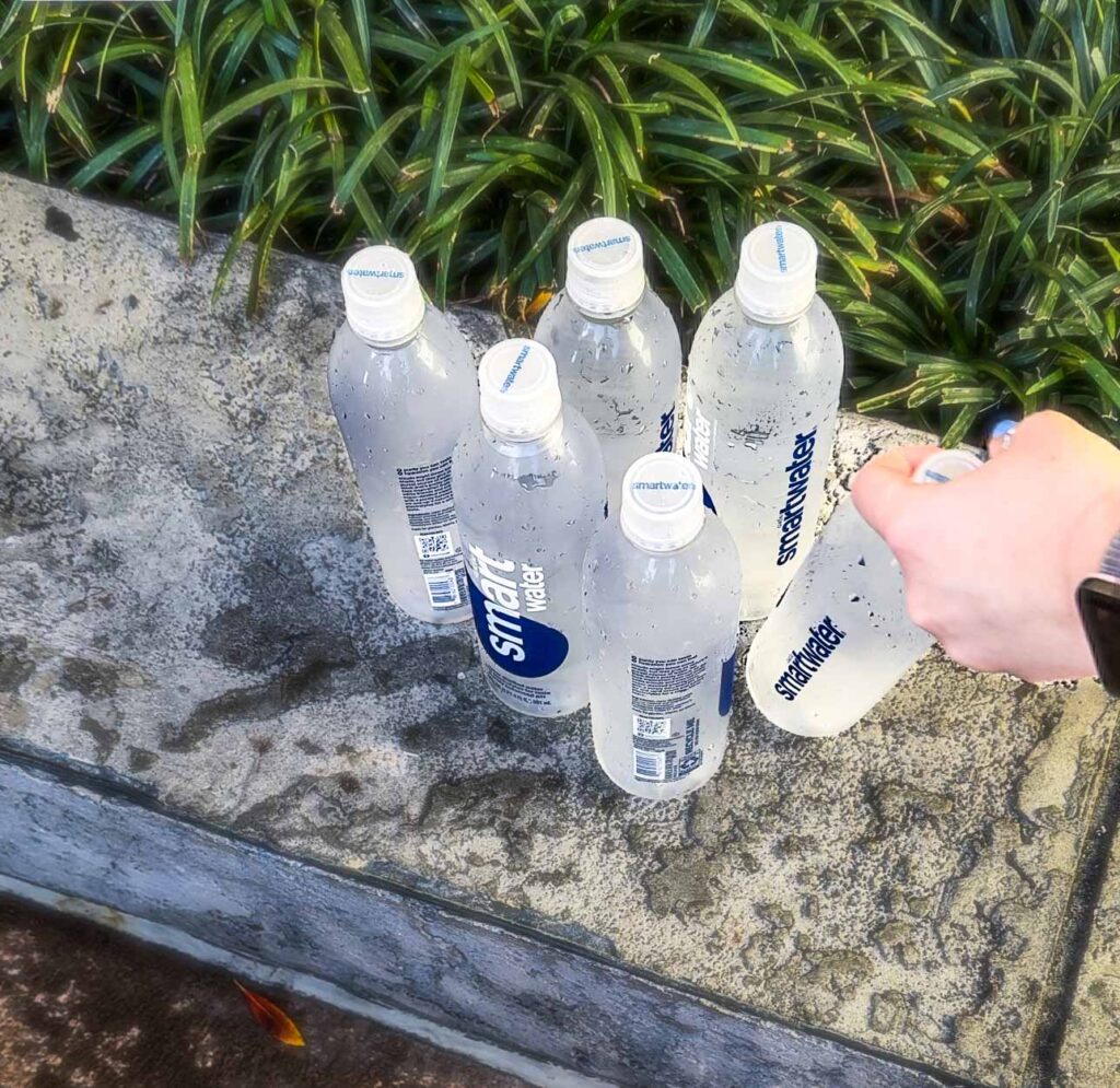 A selection of bottled water offered to guests on a Disney World VIP tour.