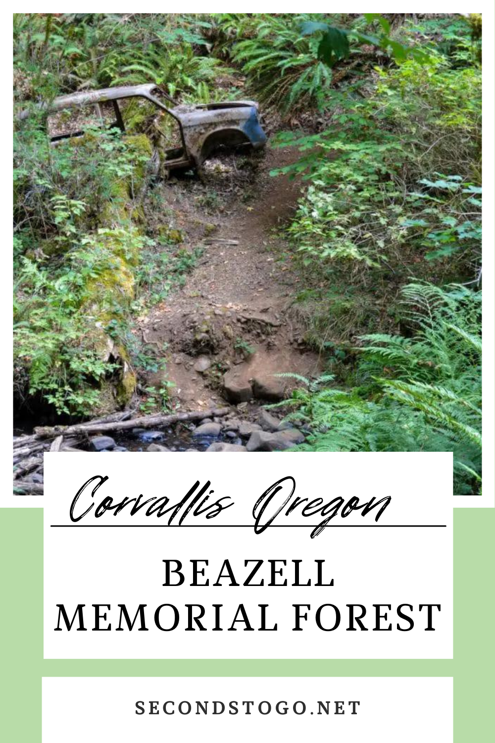 Beazell Memorial Forest