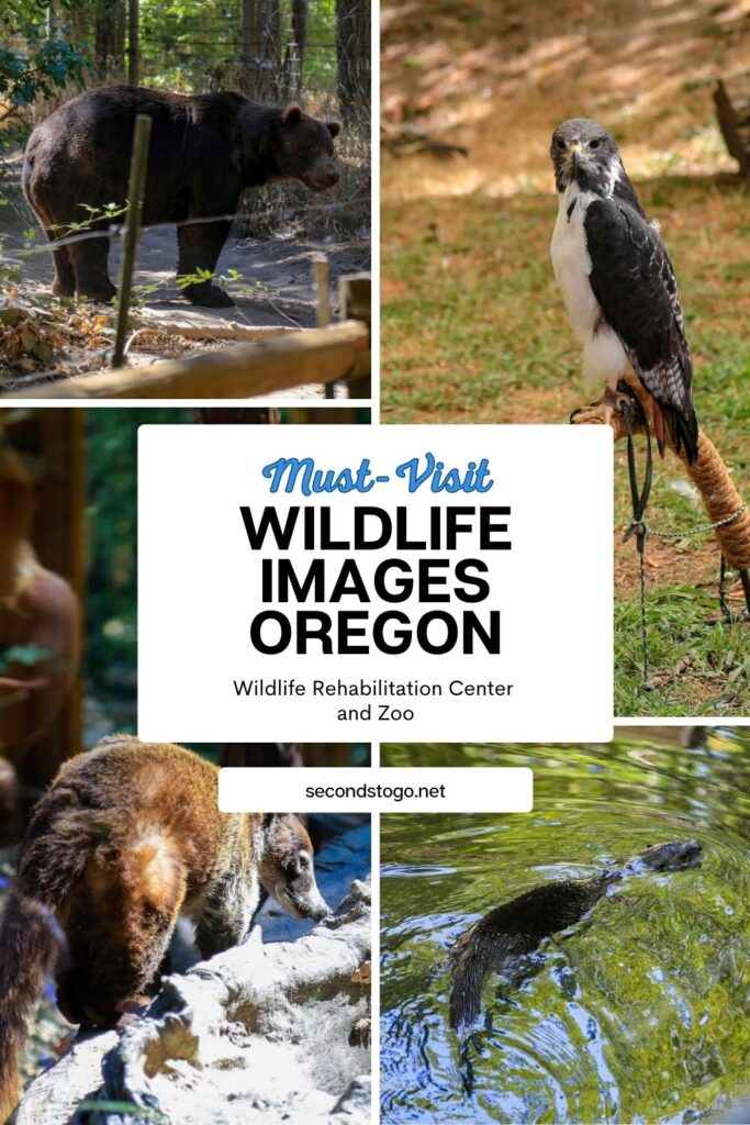 wildlife images oregon pin2025