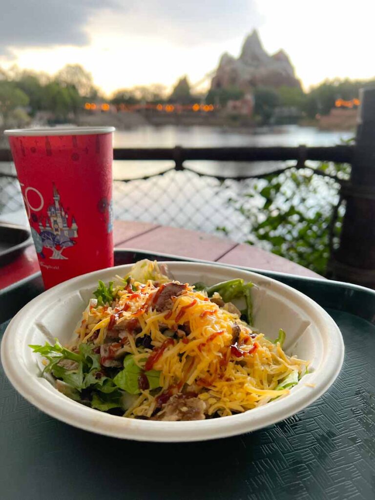 Food dish that has been ordererd using Disney World mobile ordering.