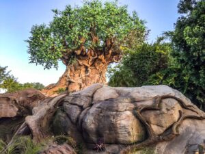 animal kingdom tree of life entrance