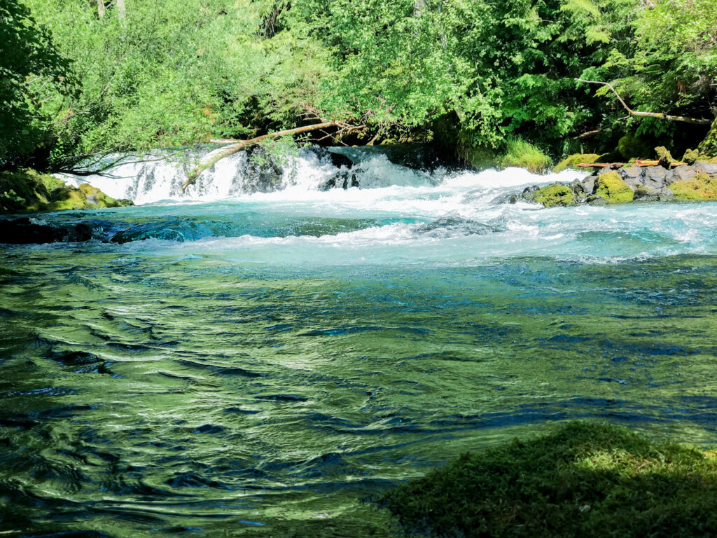 the McKenzie River as it rushes to the top of Koosah falls in Oregon