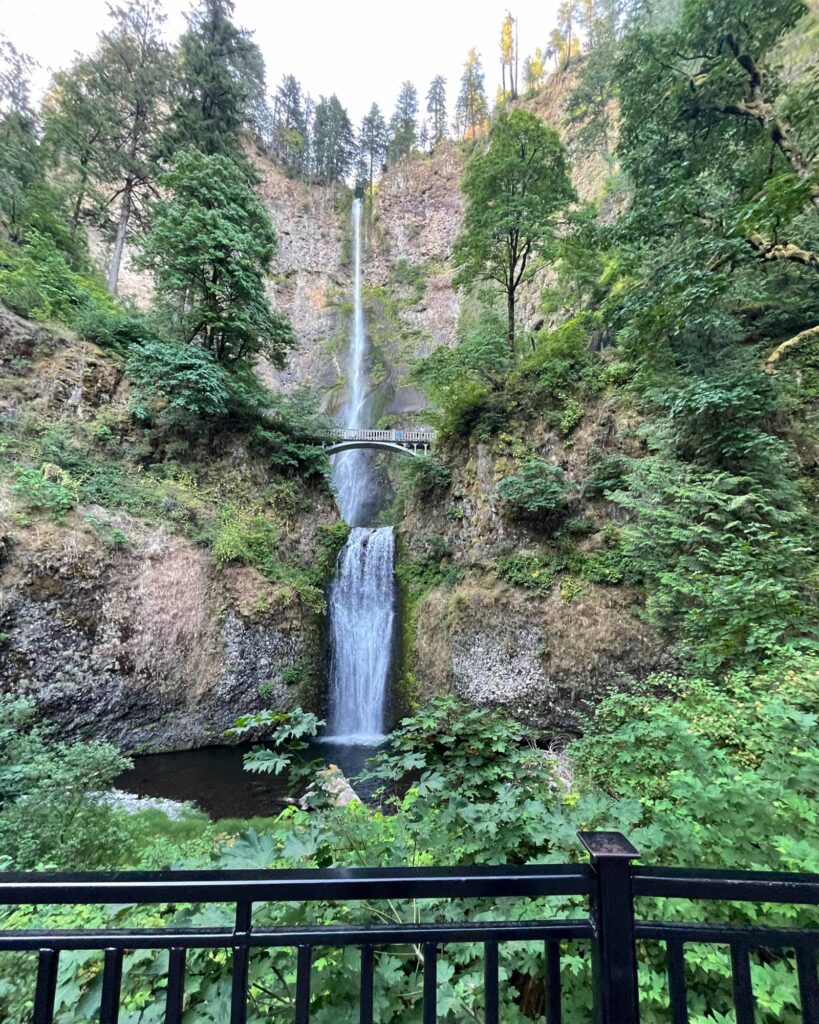 multnomag falls fence