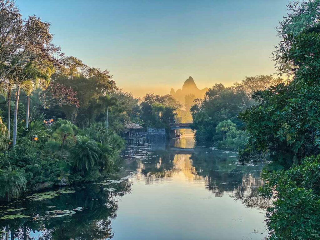 Expedition everest in haze july in disney world