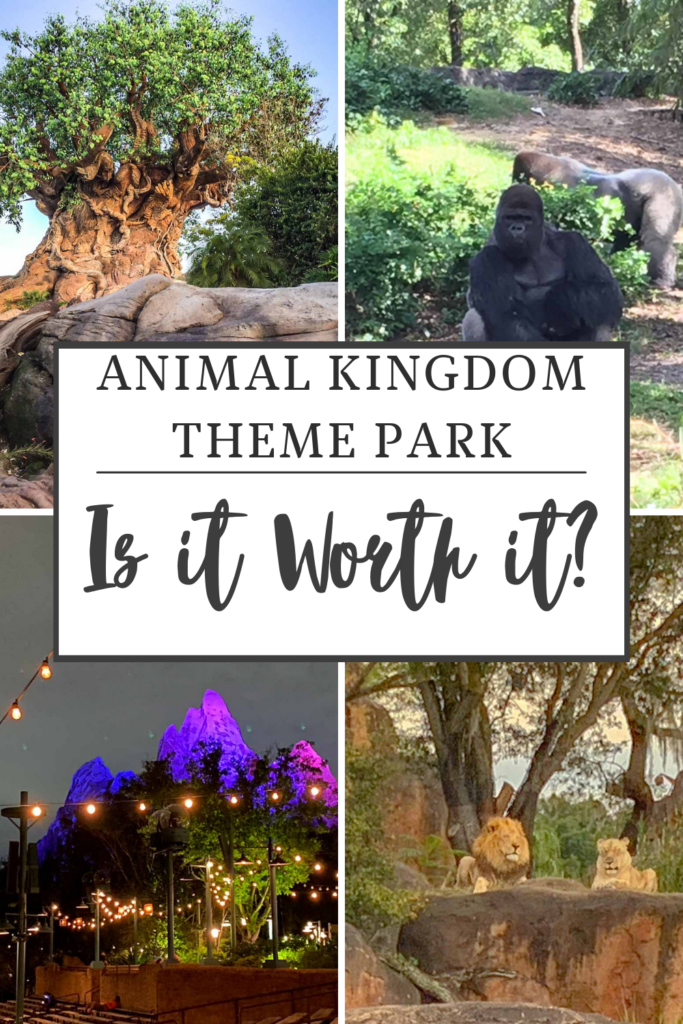 animal kingdom worth it pin