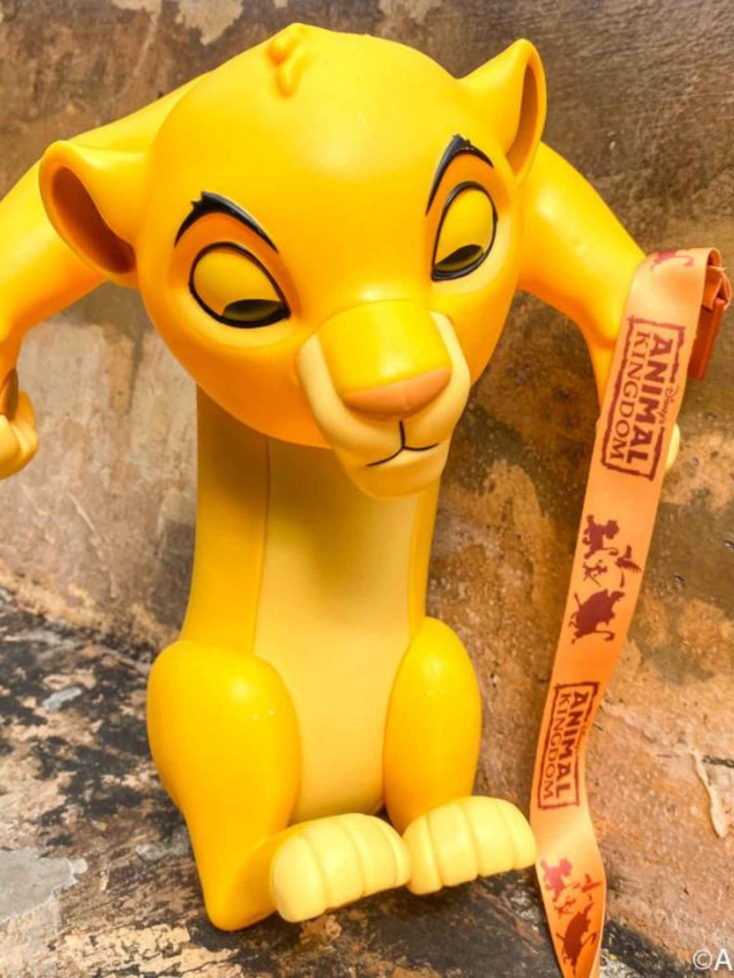 simba popcorn bucket