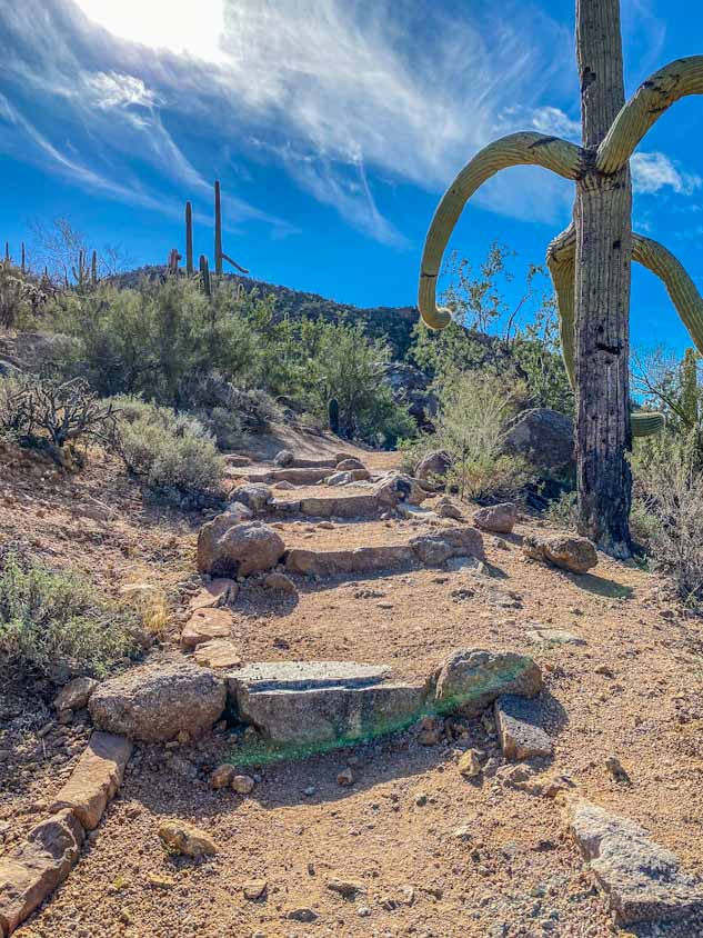 Valley View Overlook Trail in Arizona's Saguaro National Park West.