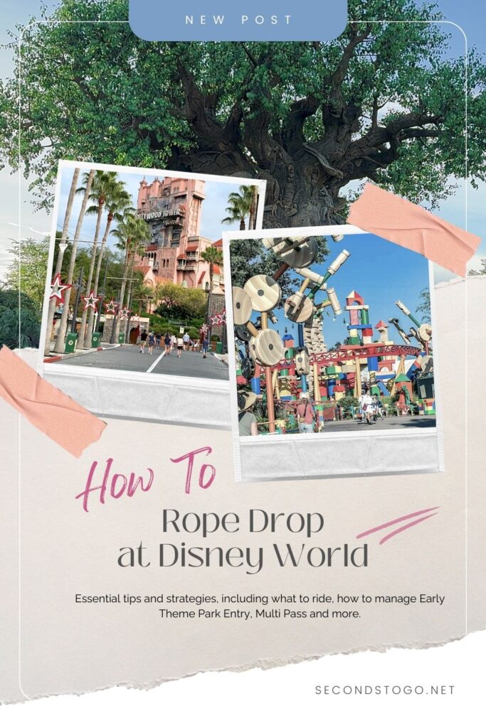 how to rope drop at disney 2024 pin