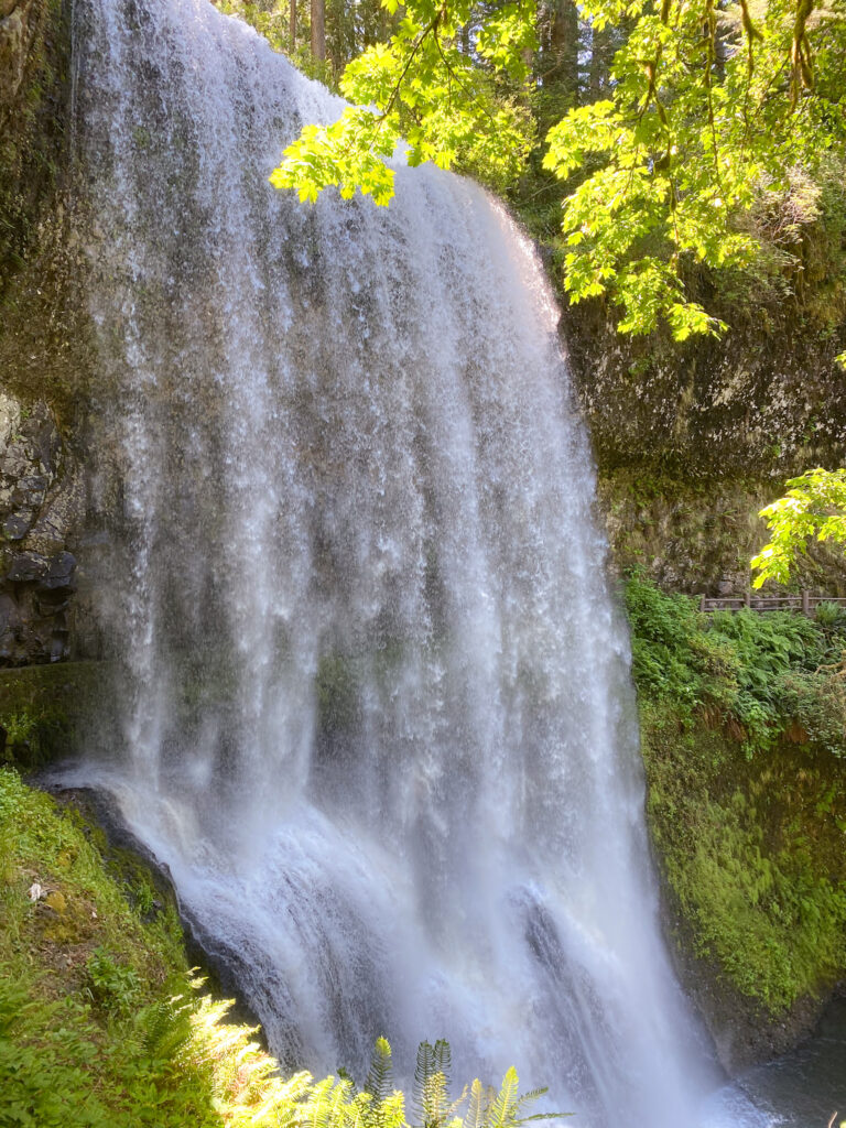 waterfall cascading over a rock face with a tree branch in the foreground at Oregon's Silver Falls State Park