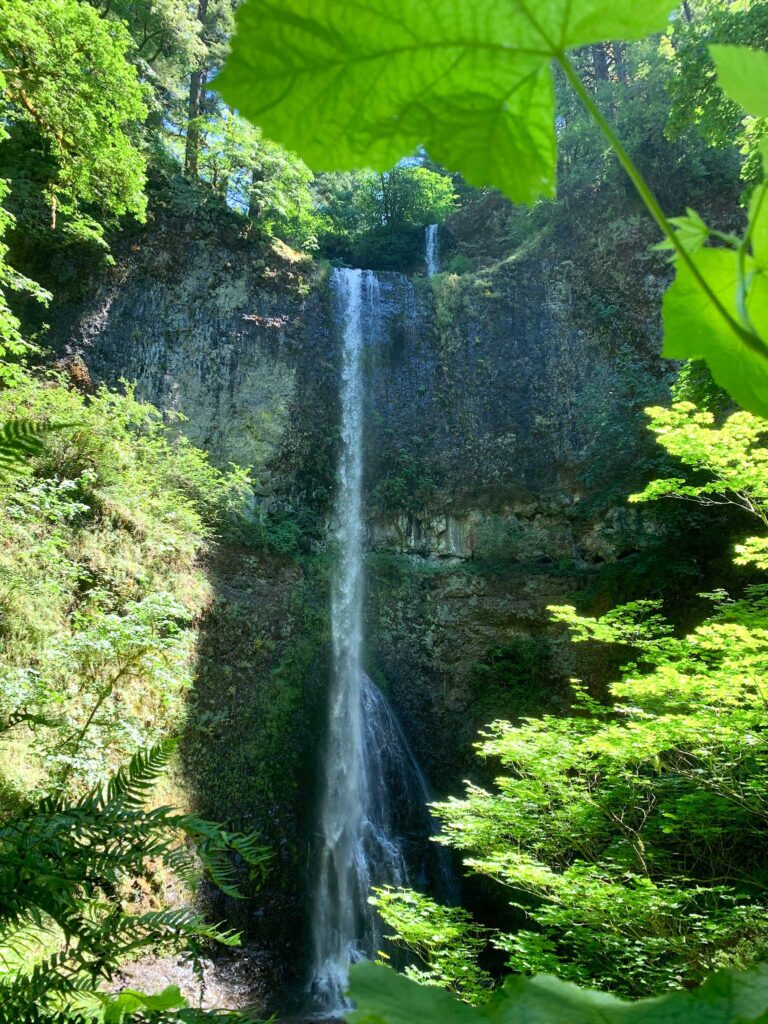 double falls silver falls state park