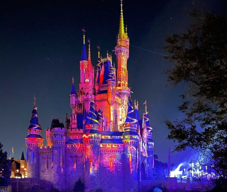 holidays at disney world feature