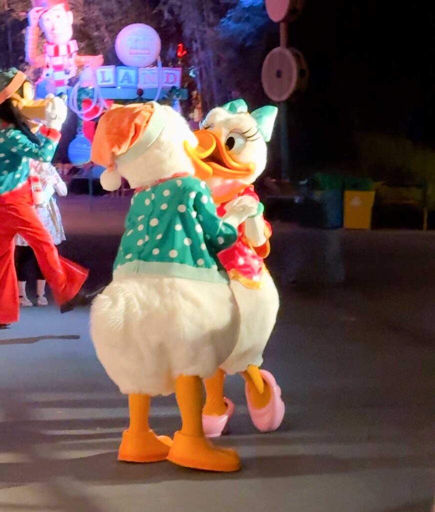 donald and daisy jollywood