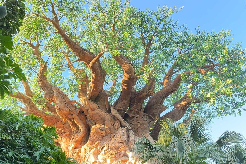 Animal kingdom park page