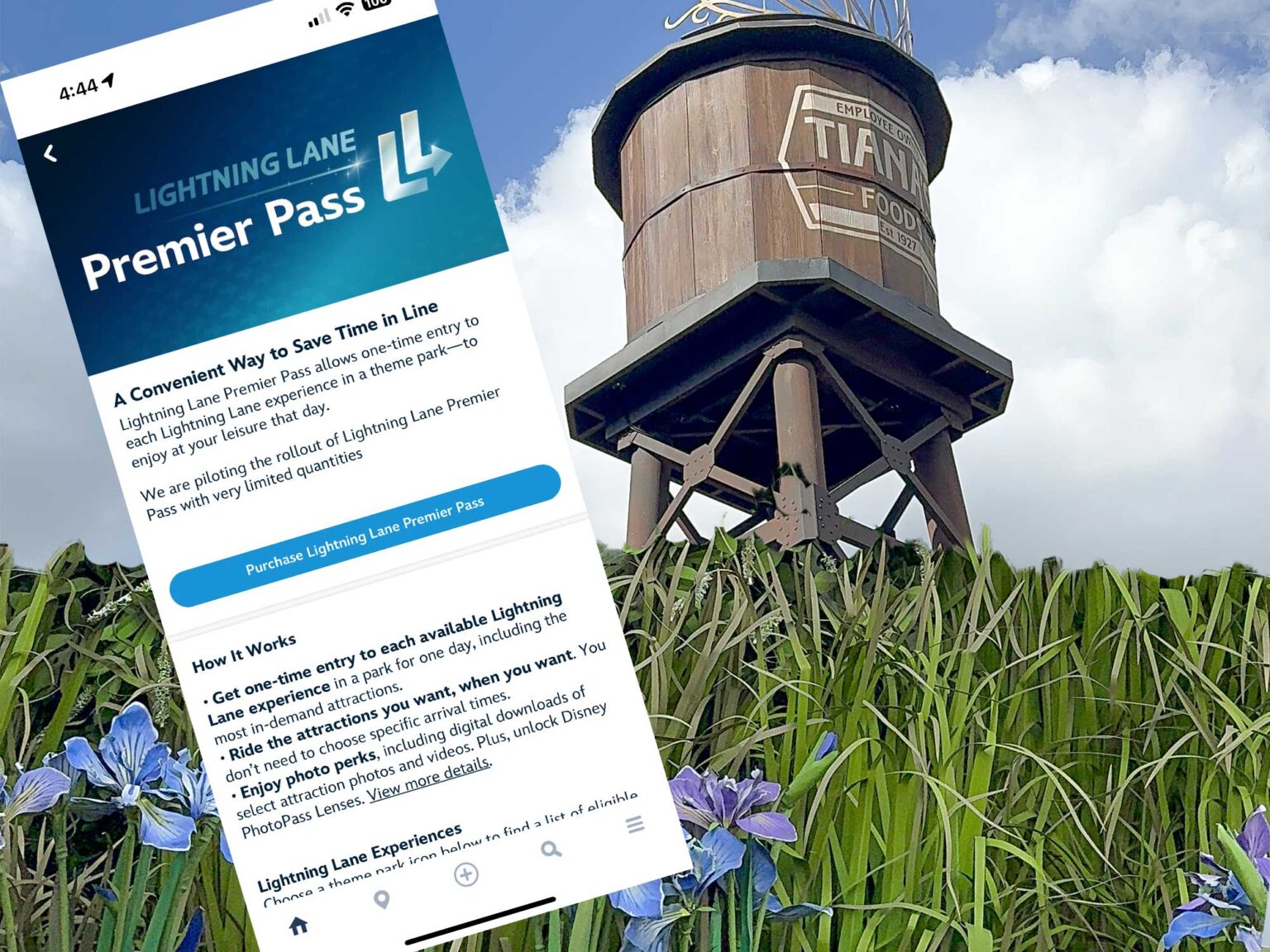 Disney World Premier Pass Review: Is the Ultimate Lightning Lane ...