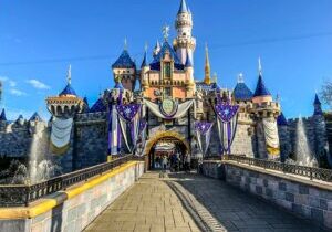 Castle Disneyland early entry