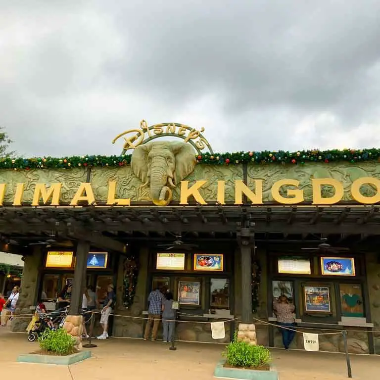 Entrance to Animal Kingdom Park at Disney World