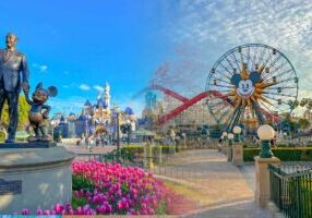 Disneyland-vacation-pillar-feature