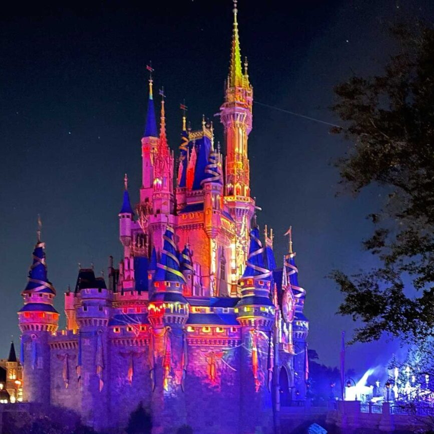 holidays at disney world feature