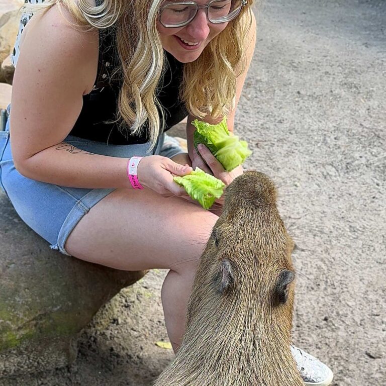 wild-florida-capybara-feature