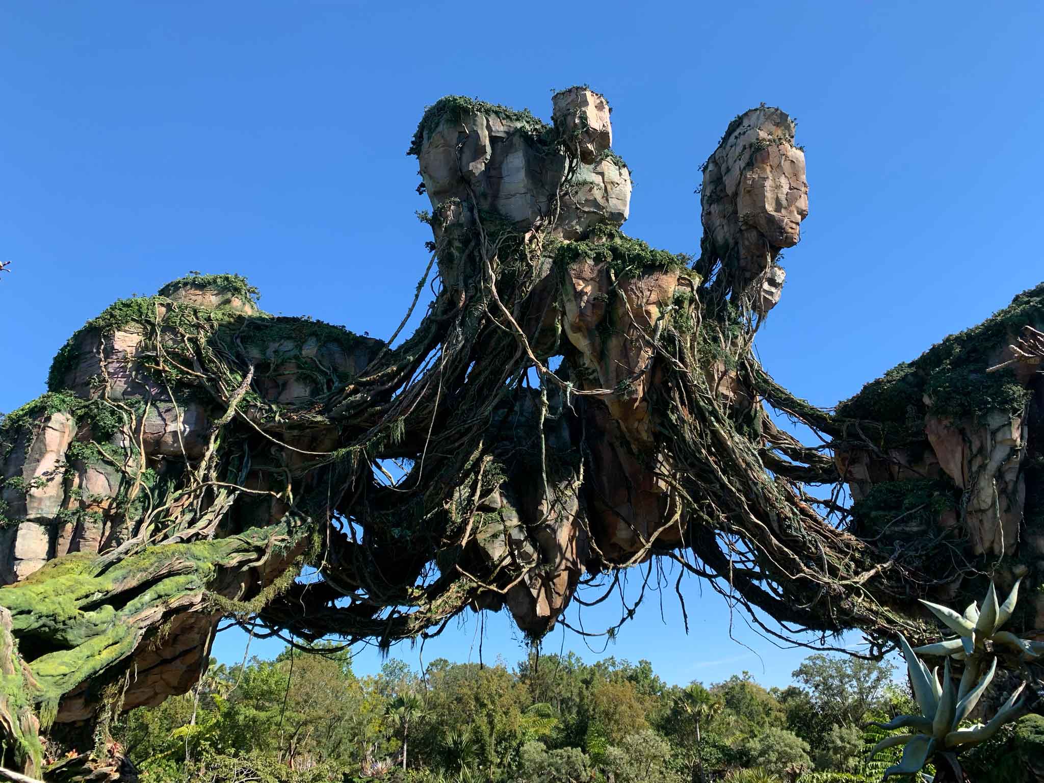 Floating rocks in the land of Pandora