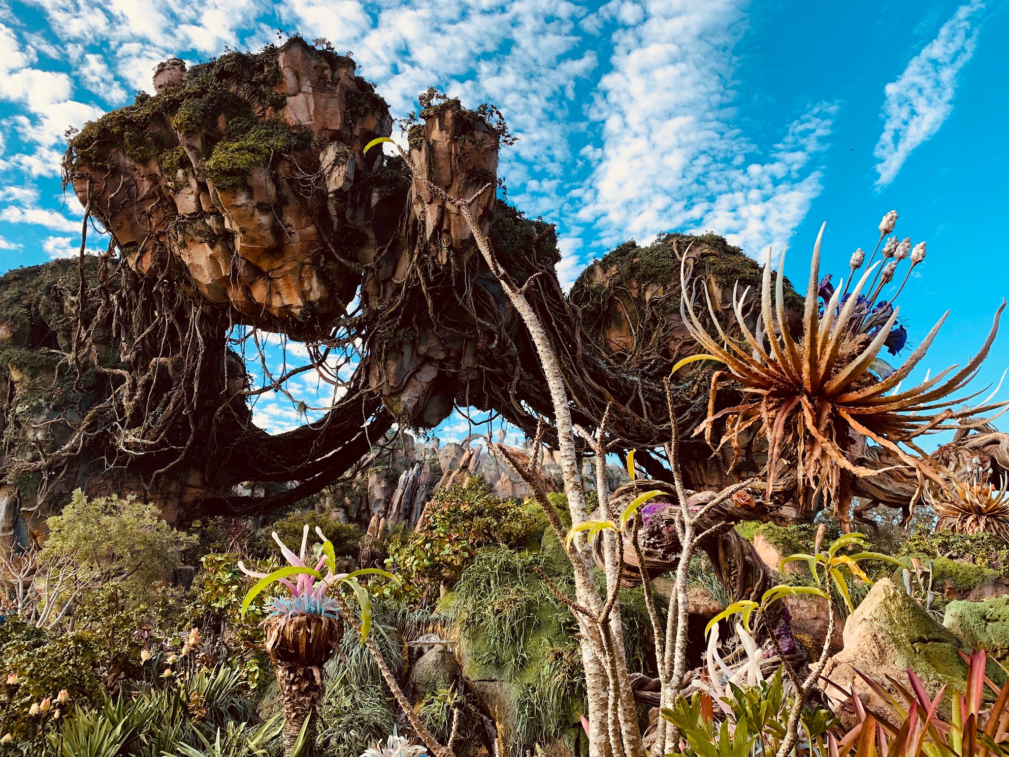 Animal Kingdom theme park pandora land