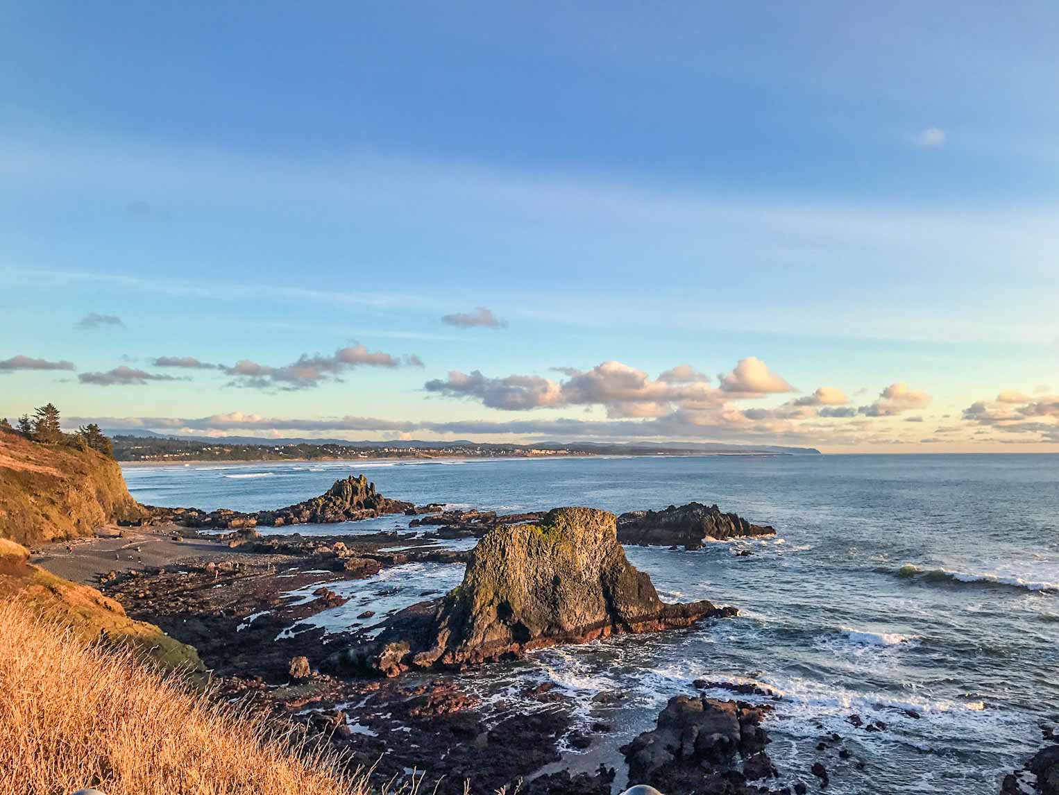 Oregon coast in March