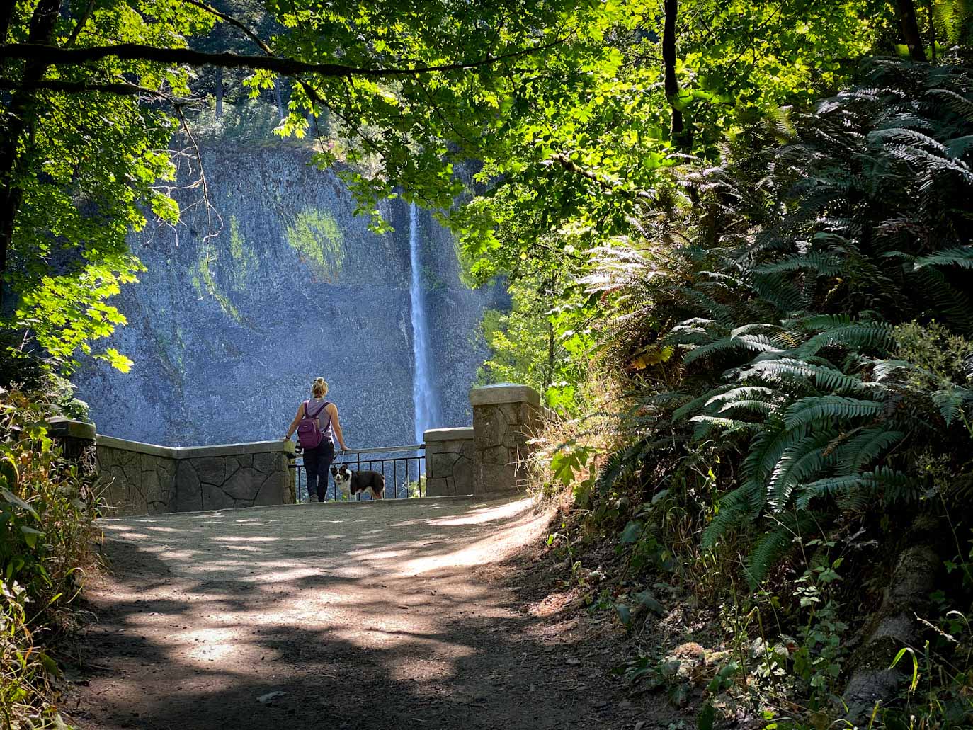 Girl and dog stop at first looking out on the Latourell Falls Hike