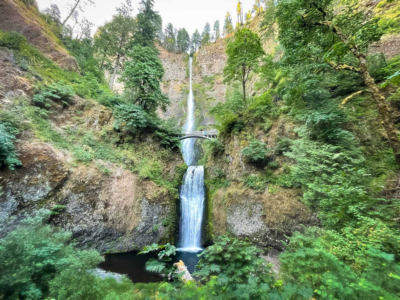 View looking up at Multnomah Falls Columbia River Gorge bridge