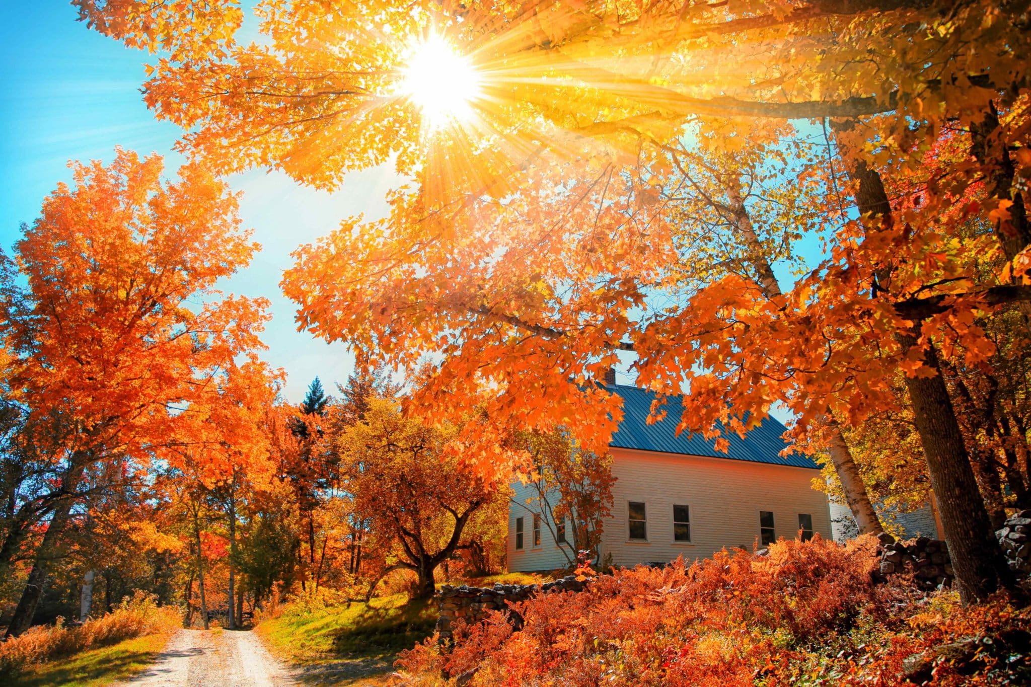 New England fall color is vibrant at peak in Vermont